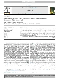 Mechanisms of Mrna Frame Maintenance and Its Subversion During Translation of the Genetic Code