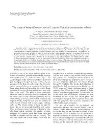 The Scope of Hemp (Cannabis Sativa L.) Use in Historical Conservation in India