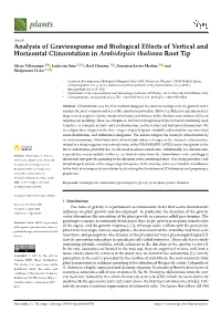 Analysis of Graviresponse and Biological Effects of Vertical and Horizontal Clinorotation in Arabidopsis Thaliana Root Tip