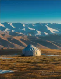 Chinese-Nomadic-Art.Pdf