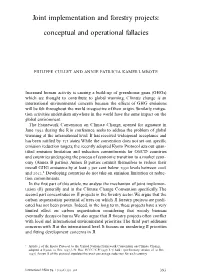 Joint Implementation and Forestry Projects: Conceptual and Operational Fallacies