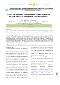 Study of Members of Different Tribes of Family Asteraceae with Reference to Stem Anatomy