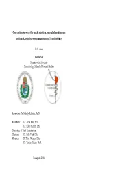 Correlation Between the Cerebralization, Astroglial Architecture and Blood-Brain Barrier Composition in Chondrichthyes