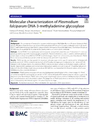 Molecular Characterization of Plasmodium
