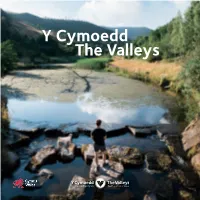 The Valleys Y Cymoedd