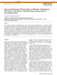 Eyes and Extraocular Photoreceptors in Midwater Cephalopods and Fishes: Their Roles in Detecting Downwelling Light for Counterillumination