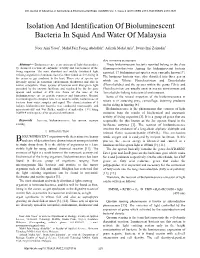 Isolation and Identification of Bioluminescent Bacteria in Squid and Water of Malaysia