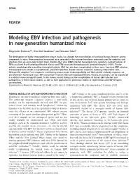 Modeling EBV Infection and Pathogenesis in New-Generation Humanized Mice