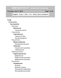 NEMF MASTERLIST - Sorted by Taxonomy