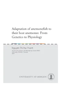 Thesis and Paper II