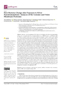 Analysis of the Genome and Outer Membrane Proteome