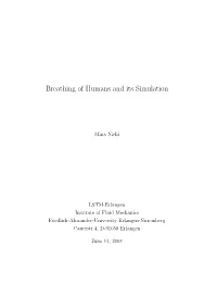 Breathing of Humans and Its Simulation