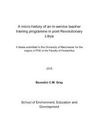 A Micro-History of an In-Service Teacher Training Programme in Post-Revolutionary Libya