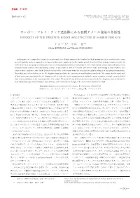Attachment File.Pdf