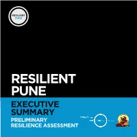 Executive Summary Preliminary Resilience Assessment