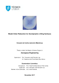 Model Order Reduction for Aerodynamic Lifting Surfaces Aerospace Engineering