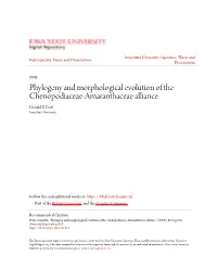 Phylogeny and Morphological Evolution of the Chenopodiaceae-Amaranthaceae Alliance Donald B