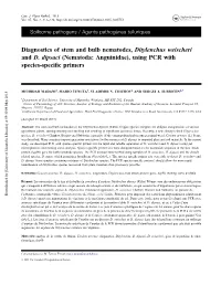 Diagnostics of Stem and Bulb Nematodes, Ditylenchus Weischeri and D