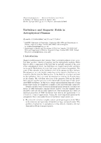 Turbulence and Magnetic Fields in Astrophysical Plasmas
