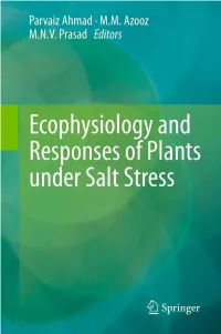 Abscisic Acid and Biomass Partitioning in Tomato Under Salinity