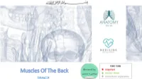 Muscles of the Back Editing File Objectives