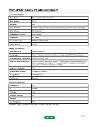 Primepcr™Assay Validation Report