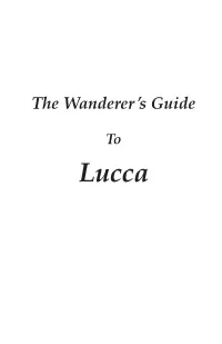 The Wanderer ’S Guide