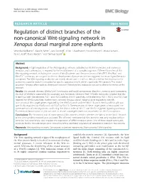 Regulation of Distinct Branches of the Non-Canonical Wnt-Signaling