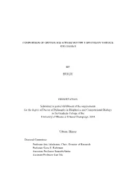 Comparison of Orthologs Across Multiple Species by Various Strategies