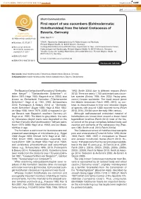 (Echinodermata: Holothuroidea) from the Latest Cretaceous Of