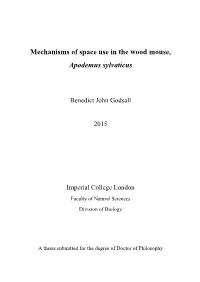Mechanisms of Space Use in the Wood Mouse, Apodemus Sylvaticus