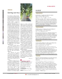 Saving Our Tree HUMAN GENETICS