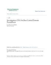 Investigation of a 16S Rna Central Domain Pseudoknot Jenna Marie Jasinski-Bolak Wayne State University