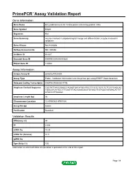 Primepcr™Assay Validation Report