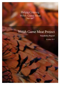 Welsh Game Meat Project Feasibility Report