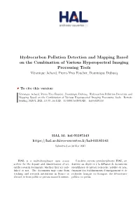 Hydrocarbon Pollution Detection and Mapping Based on The