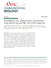 Investigating Cone Photoreceptor Development Using Patient-Derived NRL Null Retinal Organoids