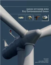 Danish Offshore Wind Key Environmental Issues