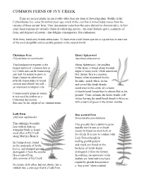 Ferns of Ivy Creek