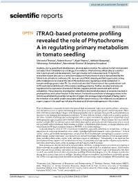 Itraq-Based Proteome Profiling Revealed the Role of Phytochrome A