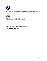 Monitored Natural Attenuation Technical Guidance