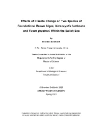 View the Thesis