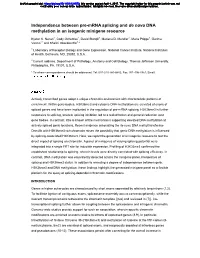 Independence Between Pre-Mrna Splicing and De Novo DNA Methylation in an Isogenic Minigene Resource