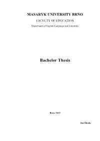 Bachelor Thesis