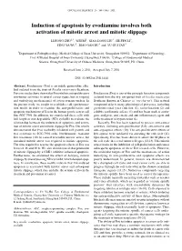 Induction of Apoptosis by Evodiamine Involves Both Activation of Mitotic Arrest and Mitotic Slippage