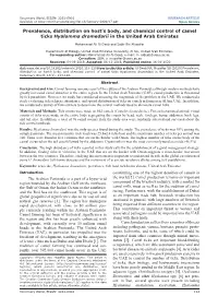 Prevalence, Distribution on Host's Body, and Chemical Control of Camel