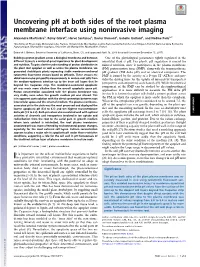 Uncovering Ph at Both Sides of the Root Plasma Membrane Interface Using Noninvasive Imaging