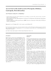 An Overview of the Fossil Record of Pteropoda (Mollusca, Gastropoda, Heterobranchia)