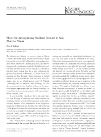 How the Xiphophorus Problem Arrived in San Marcos, Texas