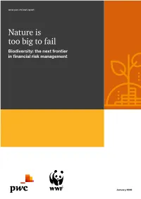 Nature Is Too Big to Fail. Biodiversity Is the Foundation for All Human Activity, and Thus Also the Foundation of the Financial System